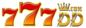 777DD LOGO